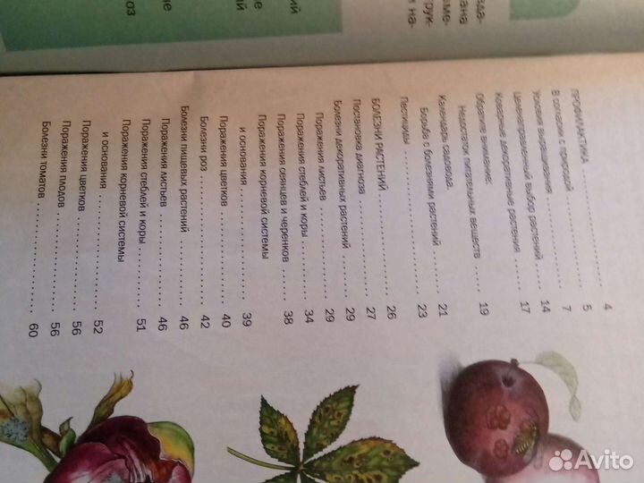 Садоводство