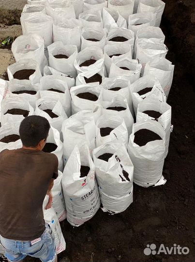 Навоз и перегной коровий