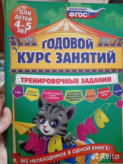 Развивающее пособие