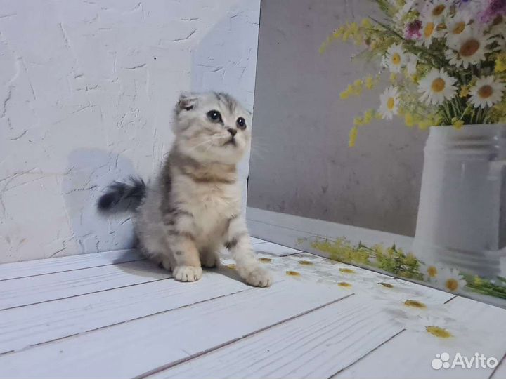 Резерв до 7.08