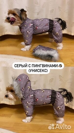 Новый комбинезон зимний для собак мелких пород