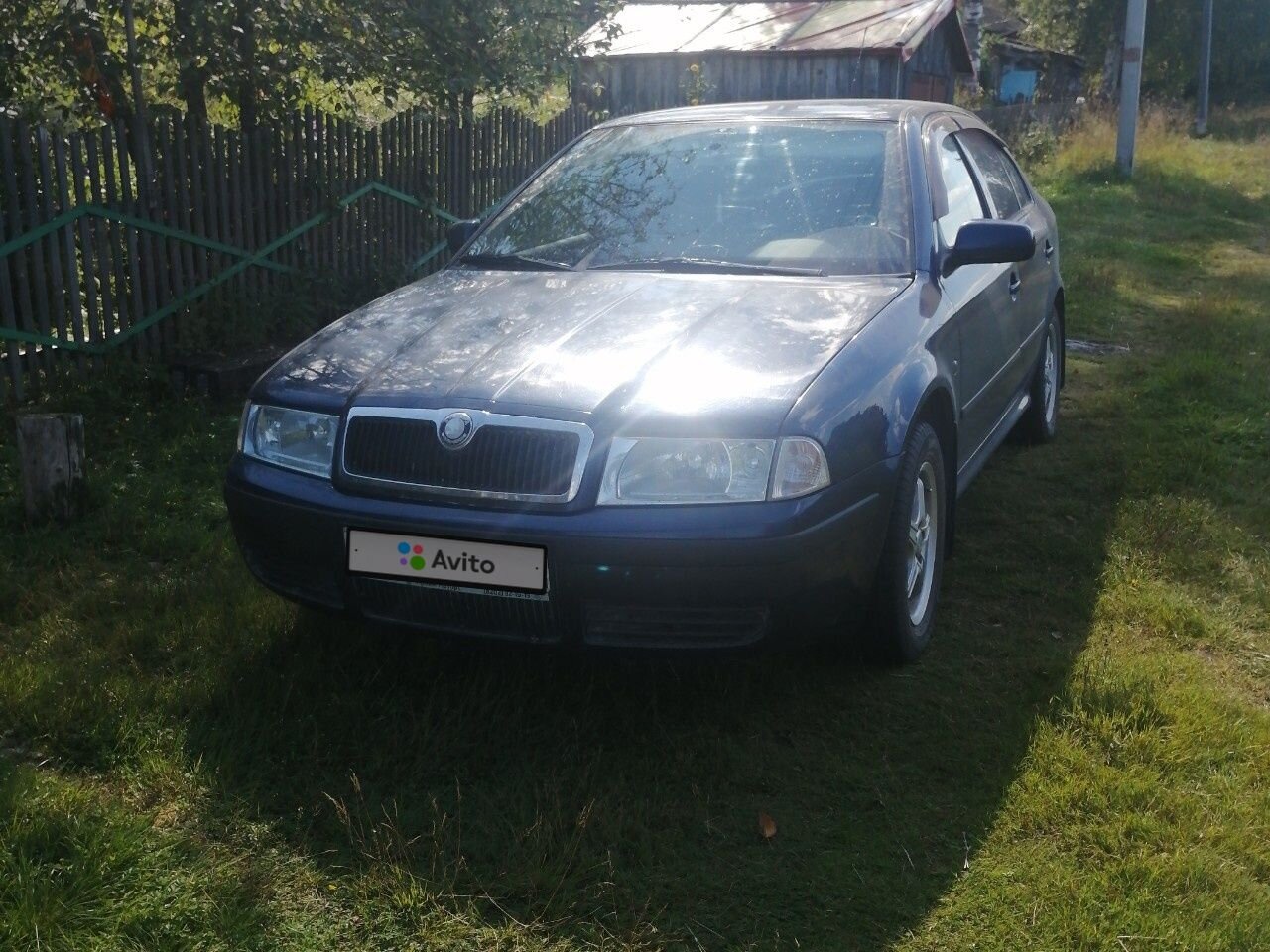 Skoda Octavia: фото владельца
