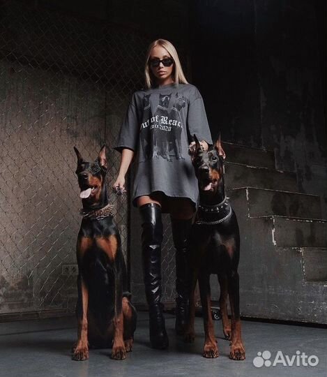 Фотосессия с доберманом