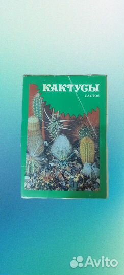 Набор открыток кактусы. Калинин. 1984 г