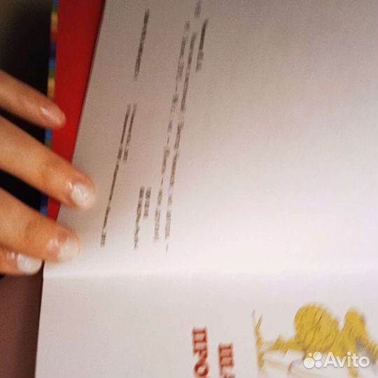 Виктор Чижиков 