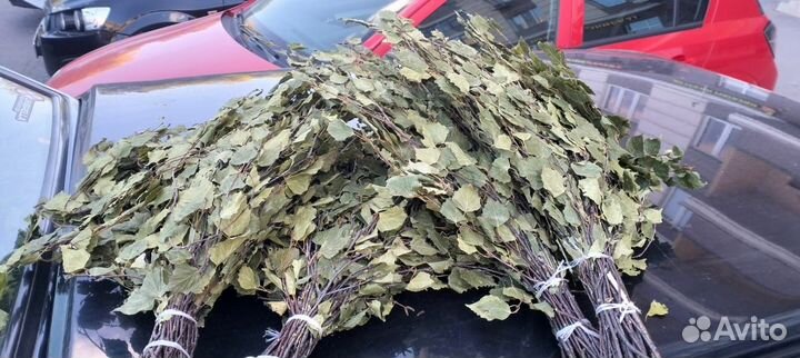 Берёзовые веники для бани