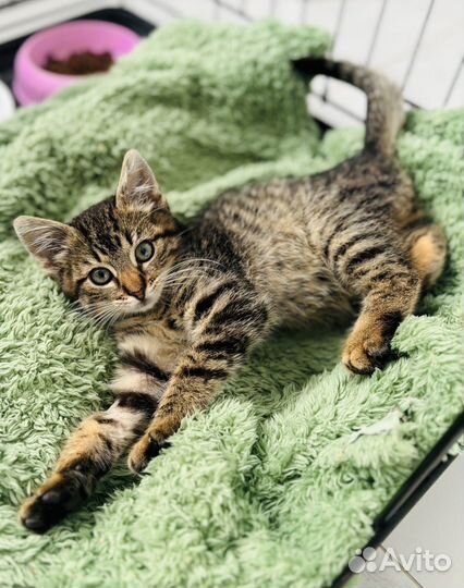 Маленький комочек счатья