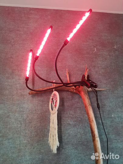 Фитолампа для растений