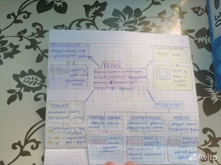 Написание сочинений/конспектов/дз