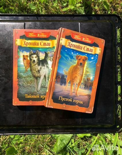Продаются две первые книги серии 