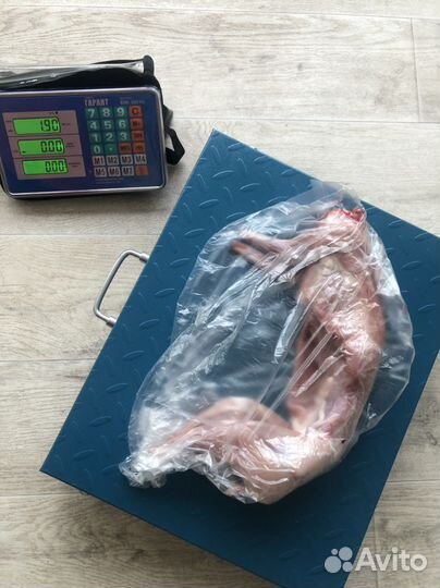 Мясо кролика домашнее