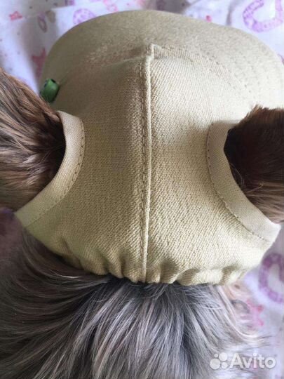 Кепочка) для любимчика