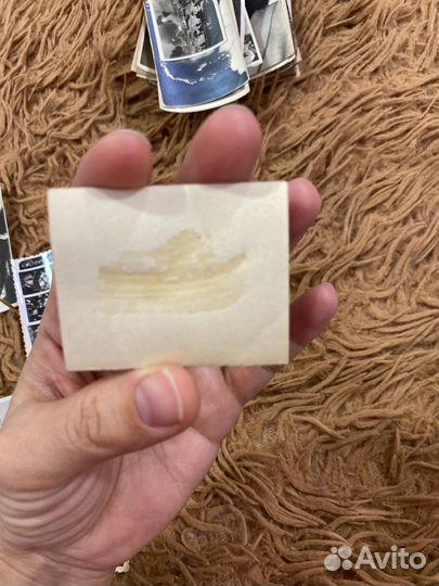 Фото И. В. Сталина