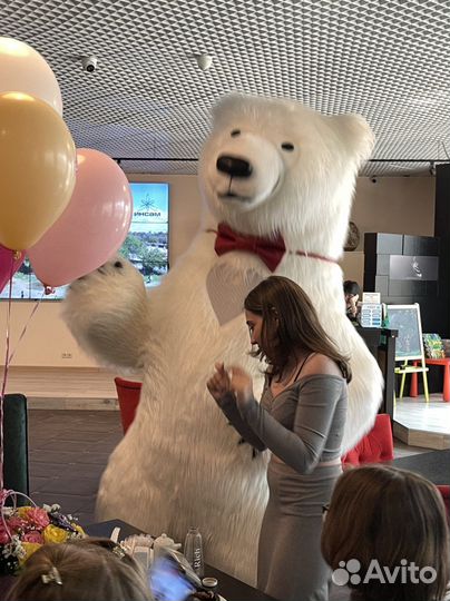 Поздравление белого медведя