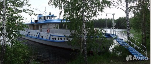 Теплоход «Скрипач Моня»