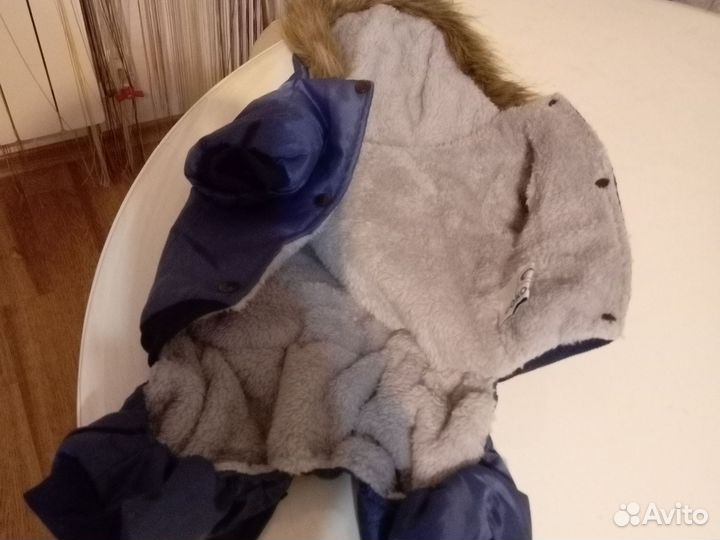 Одежда для собак мелких пород