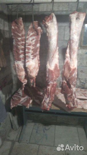 Свинина домашняя мясо