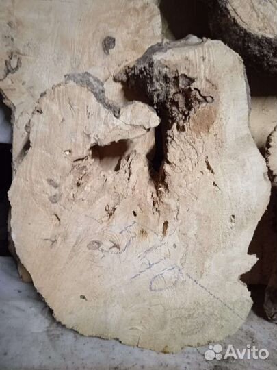 Слэб американский клён