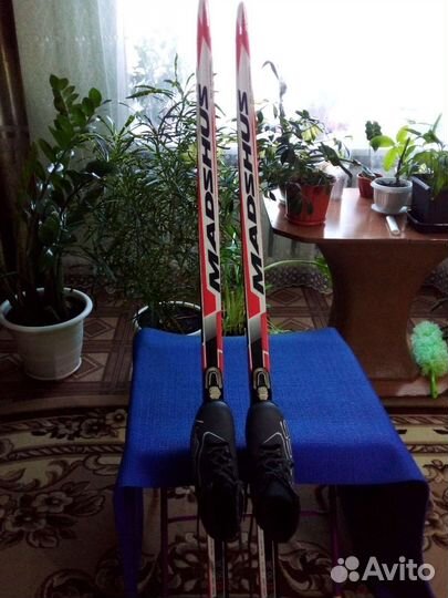 Беговые лыжи