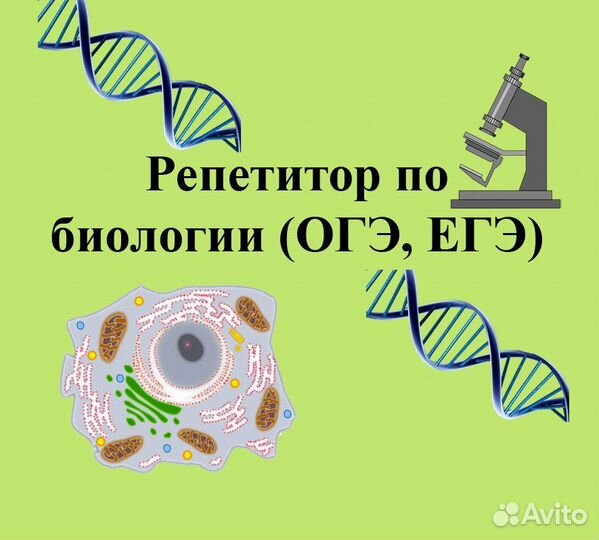 Репетитор по биологии