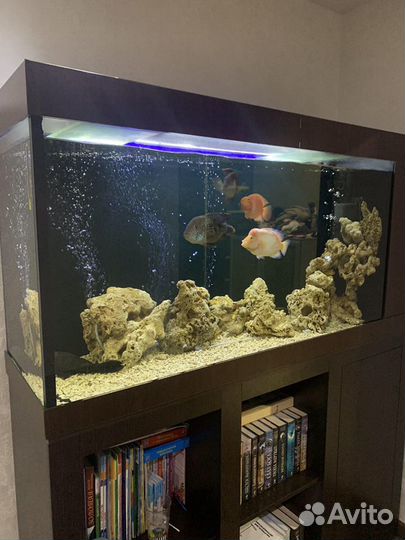 Аквариум