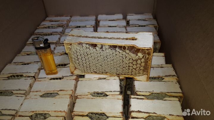 Мед в сотах 2023 разнотравье