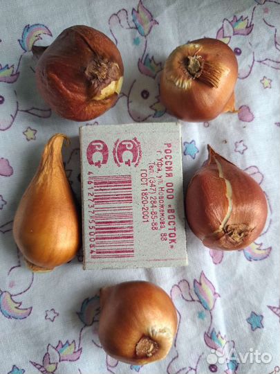 Луковицы тюльпанов для озеленения