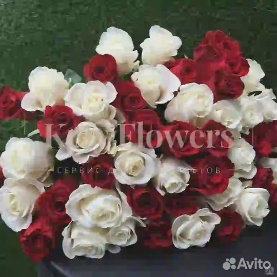 101 роза Букеты 51 101 201 Роза