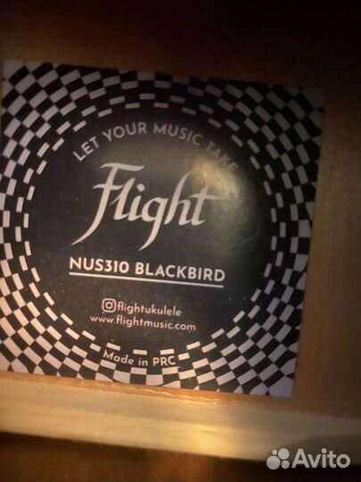 Укулеле flight