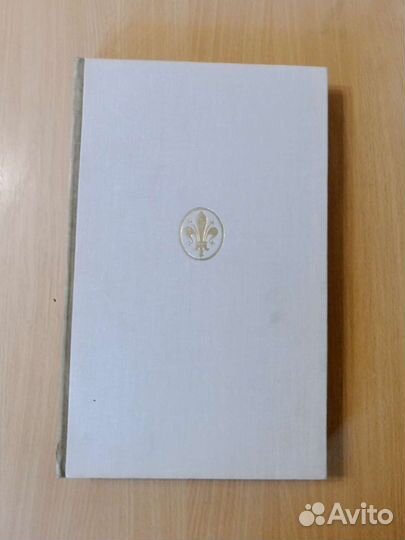 Художественные проблемы итальянского возрождения