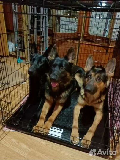 Клетка для собак и кошек