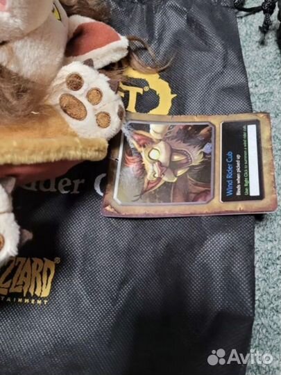 World of Warcraft Детеныш ветрокрыла - Код карта