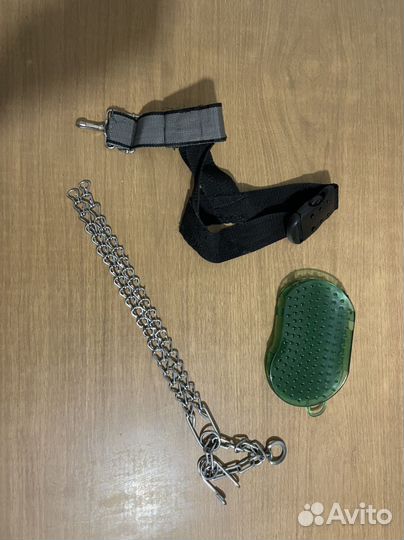 Халти ошейник строгач и щетка массажная