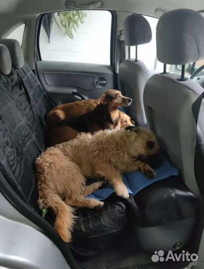 Надувной матрас в машину