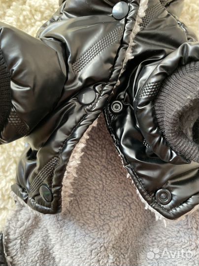 Одежда для собак мелких пород