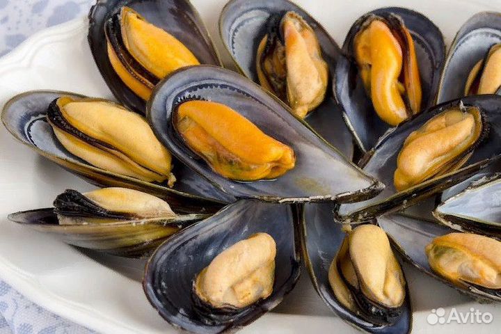 Мясо мидий, Клемы Вонголе