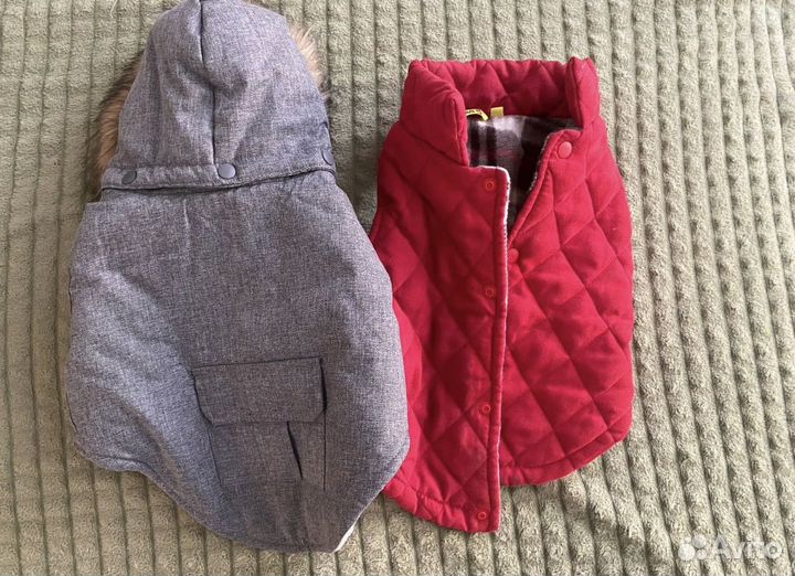 Куртка и жилет для собаки