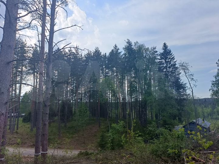 Участок 7,5 сот. (СНТ, ДНП)