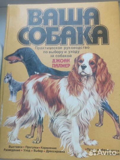 Книга Собака Джоана Палмер