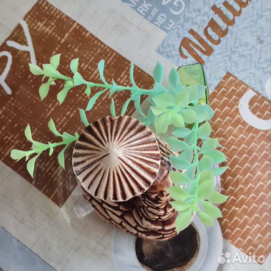 Аквариум круглый