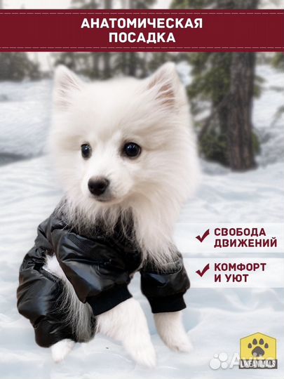 Комбинезон для собаки, размер XL