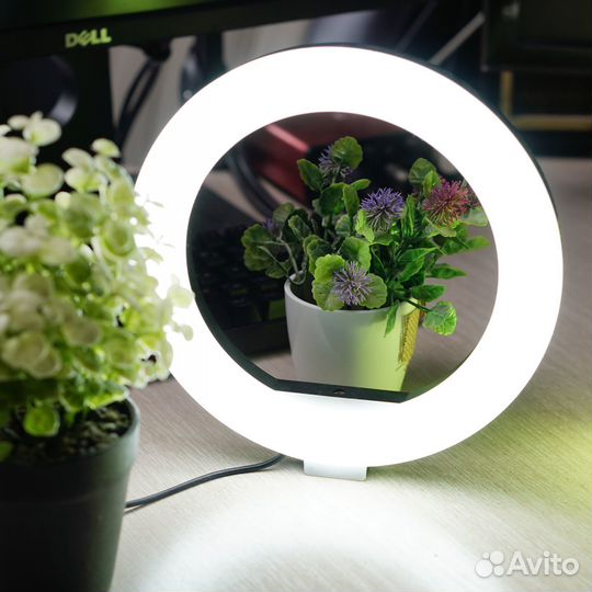 Свет для съемки, кольцевая лампа