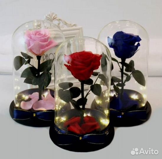 Роза в колбе. От производителя