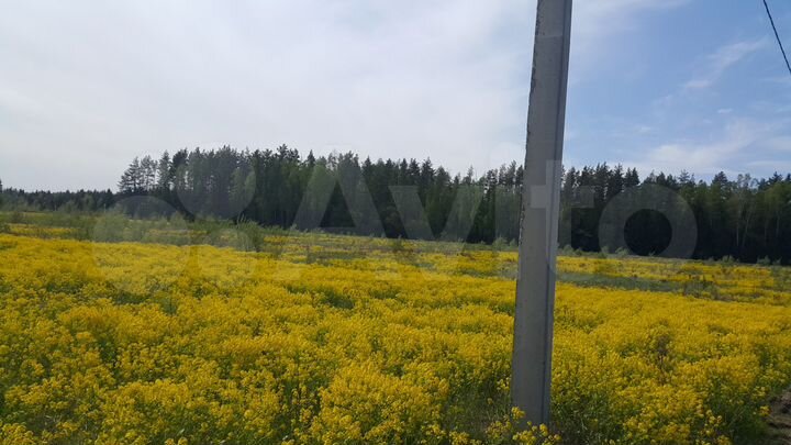 Участок 1,7 га (ИЖС)