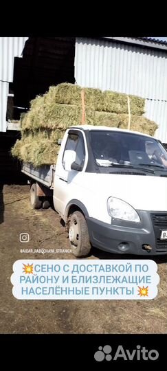 Продам сено в рулонах