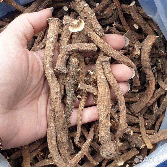 Корень одуванчика сушеный
