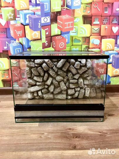 Террариум / Бородатая агама / Змея / Эублефар