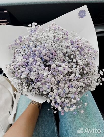 Гипсофила цветы