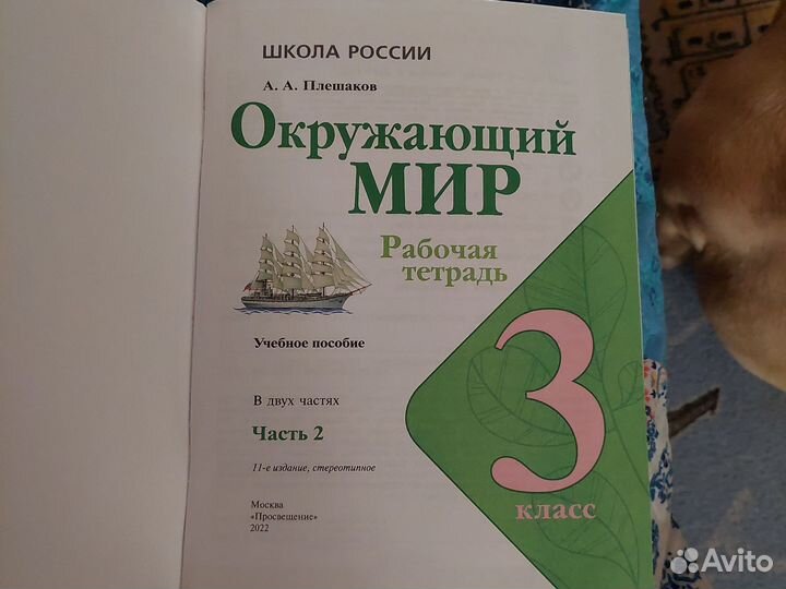 Окружающий мир