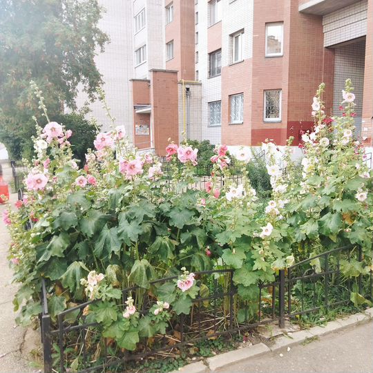 2-к. квартира, 75 м², 3/10 эт.